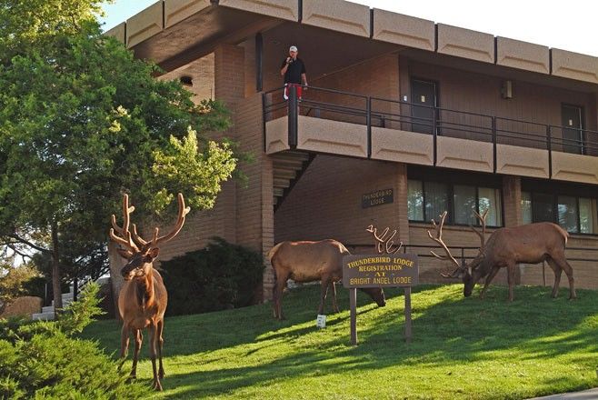 Kachina Lodge Grand Canyon Bagian luar foto